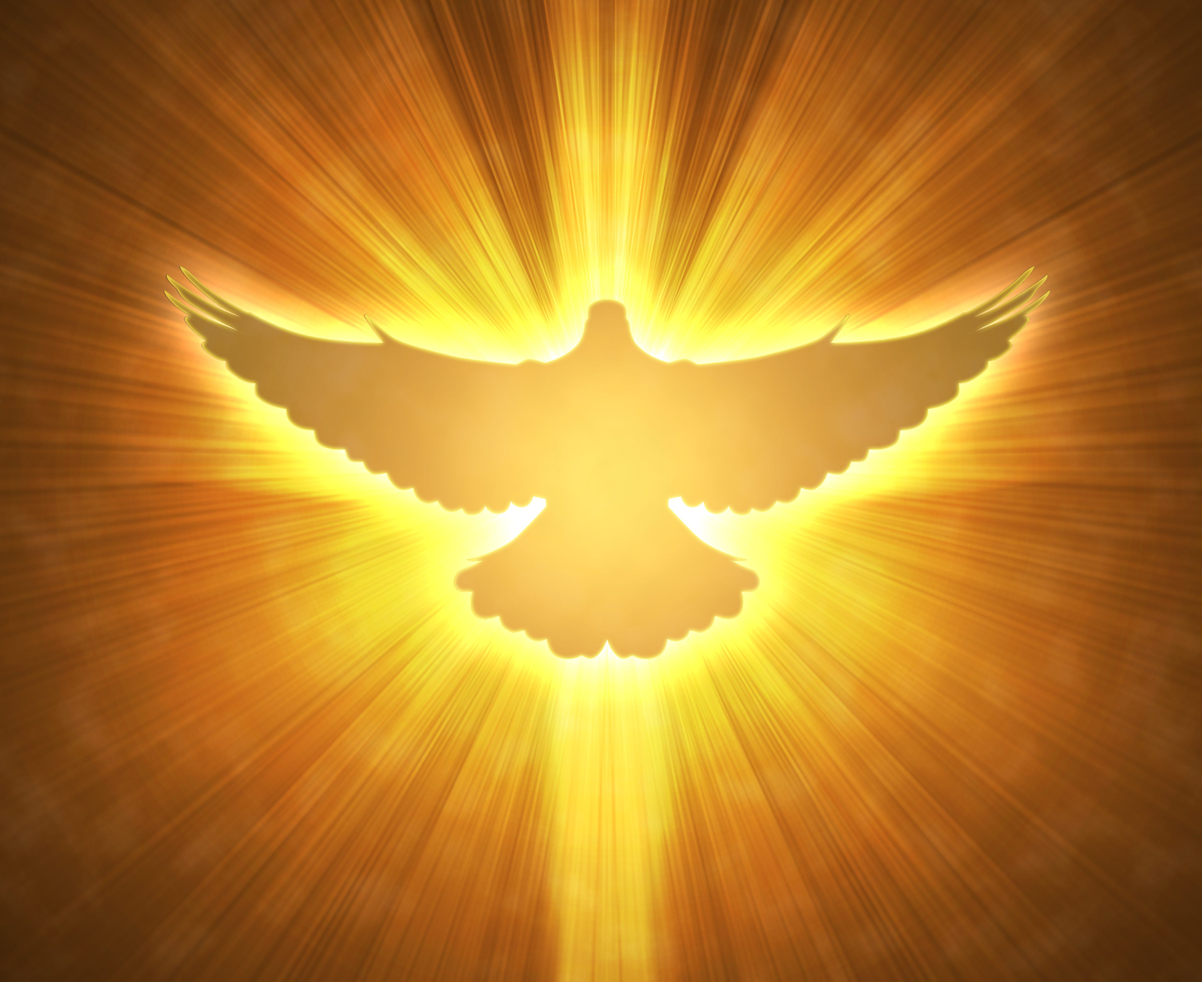 holy-spirit-dove1